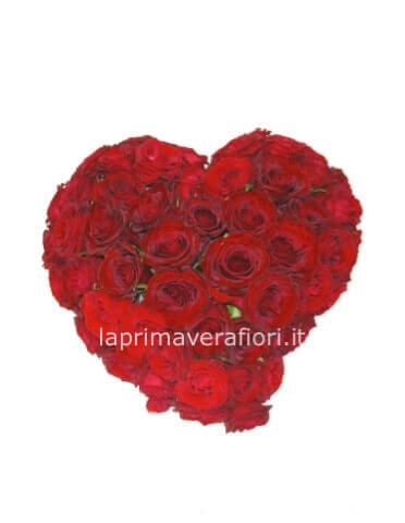 Cuore di rose rosse (25/30 rose)